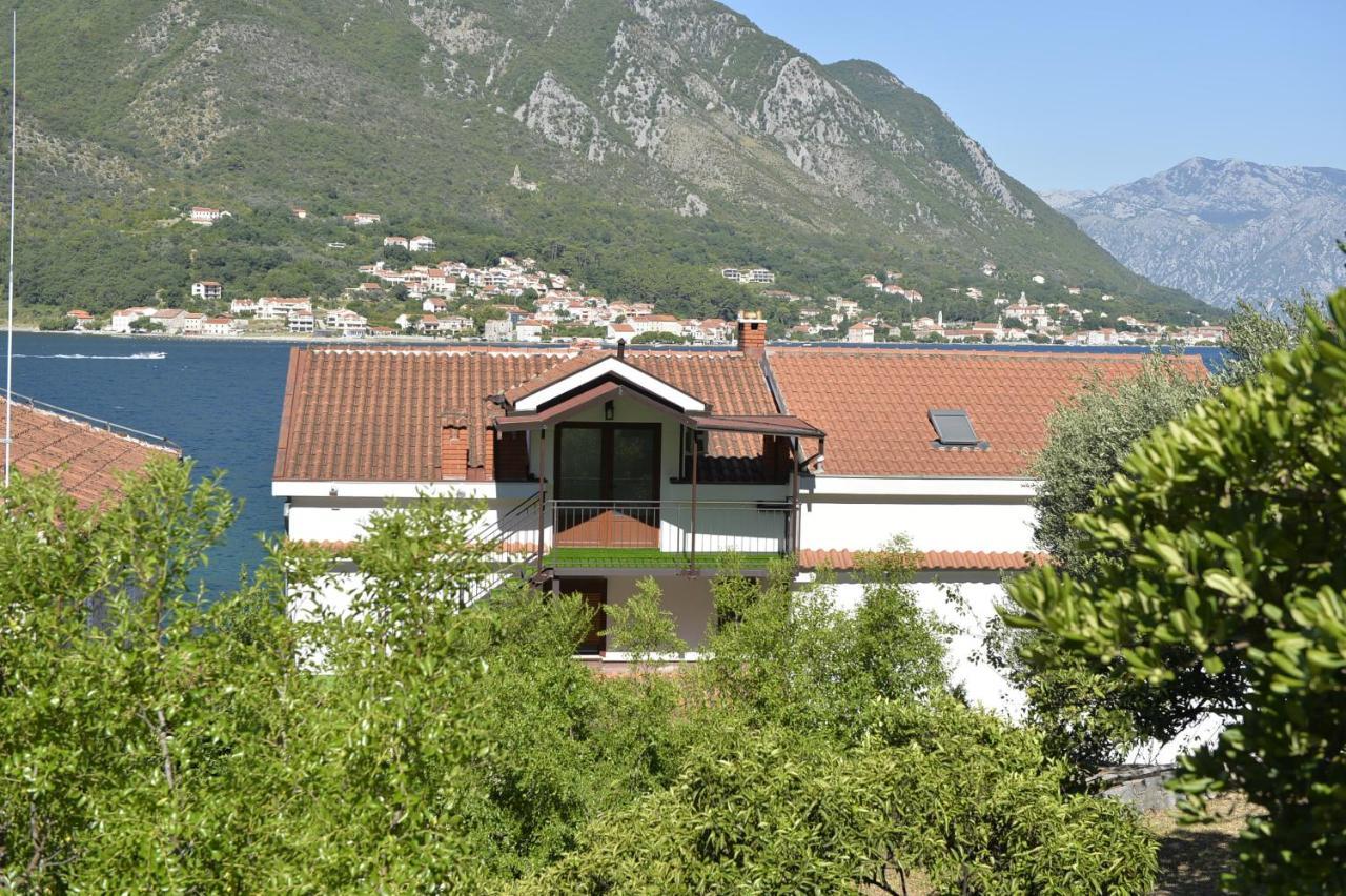 Viva Apartman Kotor Kültér fotó